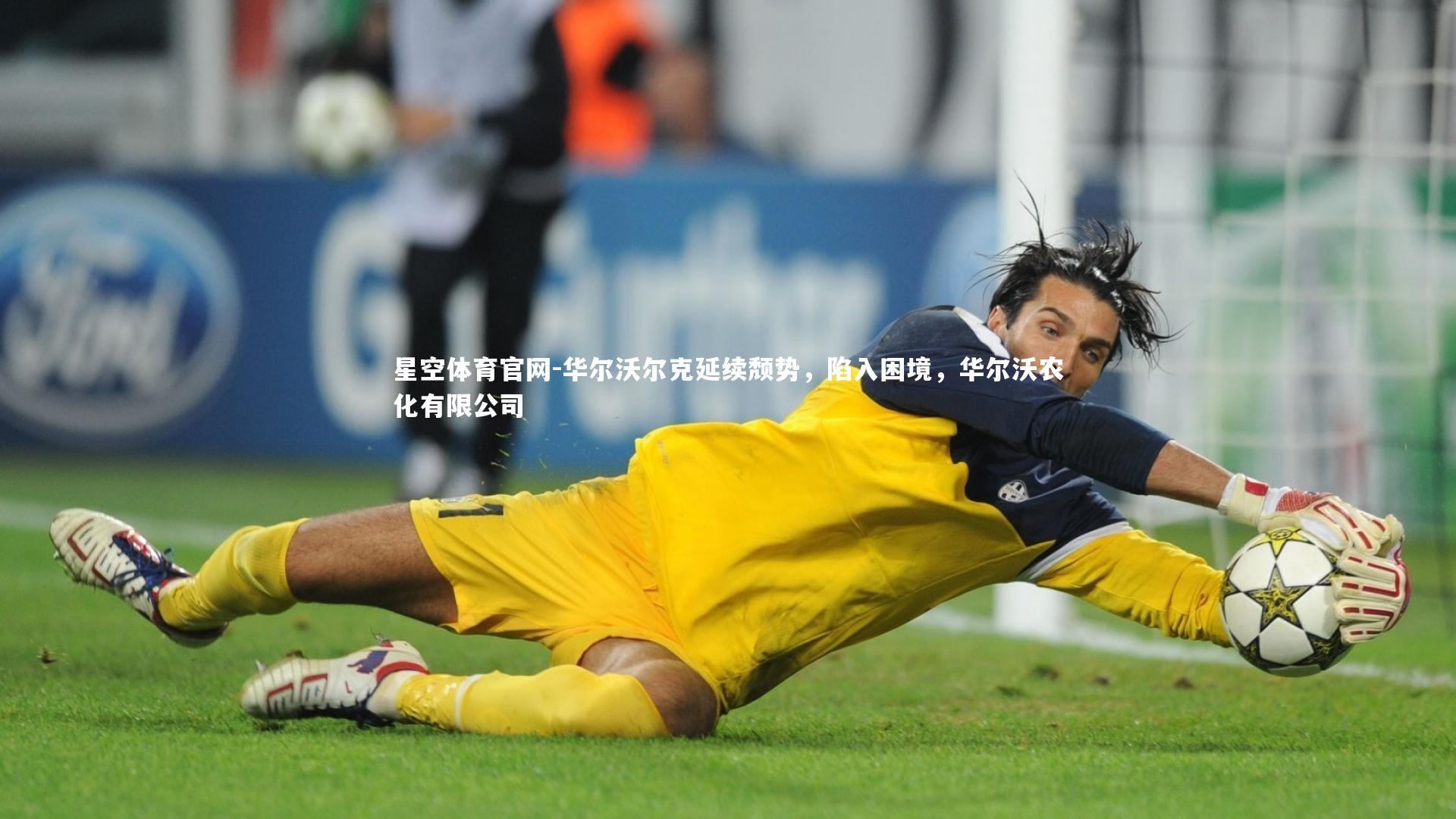 华尔沃尔克延续颓势，陷入困境，华尔沃农化有限公司