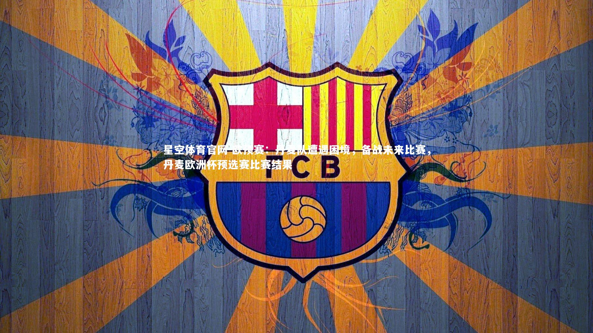 星空体育官网-欧预赛：丹麦队遭遇困境，备战未来比赛，丹麦欧洲杯预选赛比赛结果